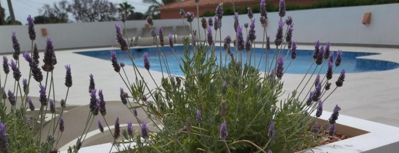 Villa Marti Calpe Eksteriør bilde